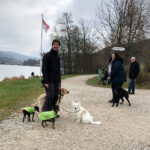 Hundewanderung in Houbirg in der fränkischen Schweiz.