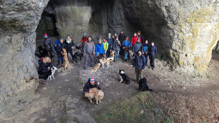 Gruppentraining bei Hundetrainer Oliver Ludwig. Individuelle Betreuung deutschlandweit.