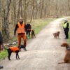 Mantrailing Beginners – Bild 8