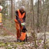 Mantrailing Beginners – Bild 5