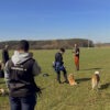 Offenes Training – Bild 7